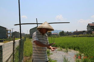 縣老科協(xié) 老驥伏櫪獻(xiàn)余熱