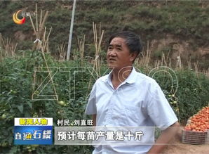 石樓這老頭 寵辱不驚,老驥伏櫪 真牛 劉直旺